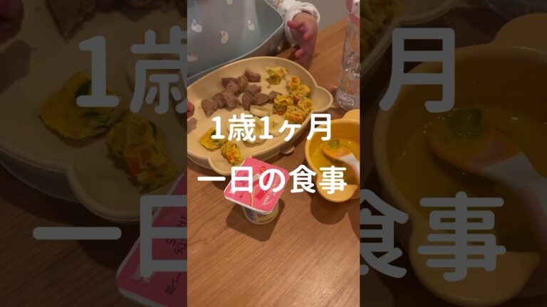 1歳1ヶ月娘の一日の食事👶🏻#1歳#1歳ごはん#離乳食#冷凍ストック#子育て#1日の食事#shorts