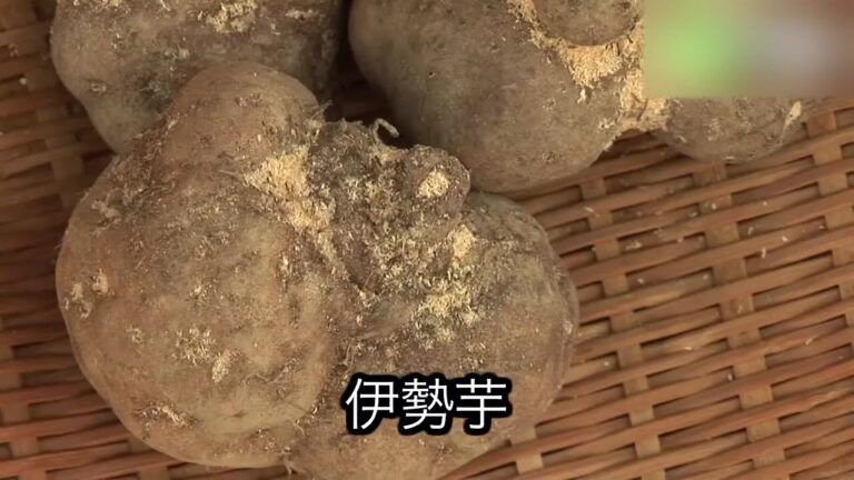 すし久 - 地域情報動画サイト　街ログ