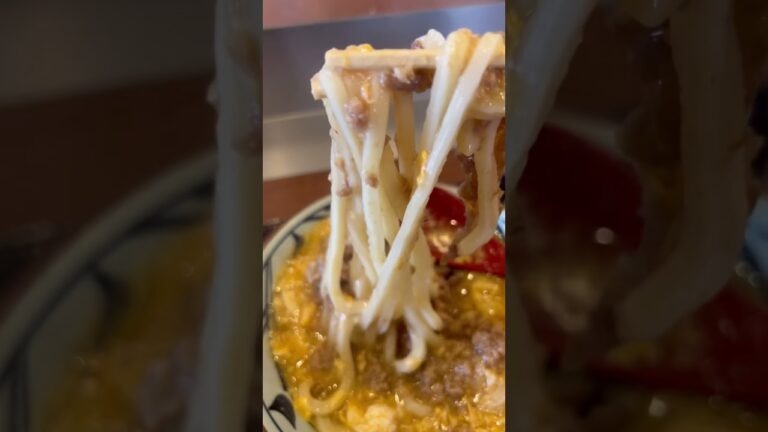 肉がさね卵あんかけうどん☺️🥚