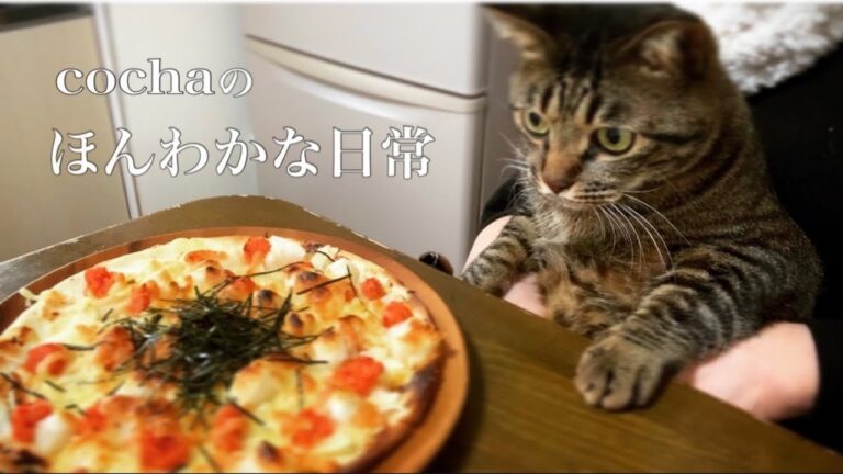 【暮らしvlog】冷蔵庫の中にある物で作る明太子ピザ / 雪の日のほんわかな日常