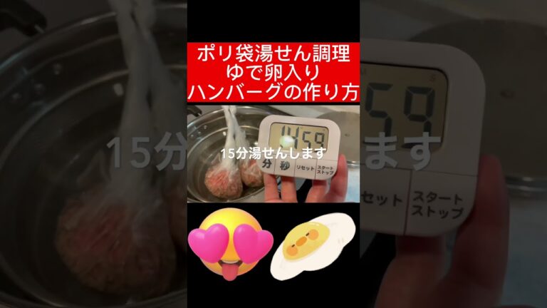 ゆで卵入りハンバーグ 揚げないスコッチエッグ ポリ袋クッキングレシピ #cooking #おうちごはん #キャンプ飯