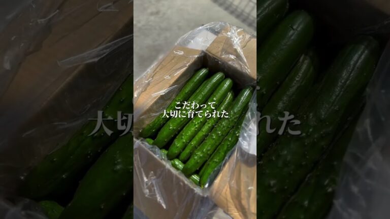 🥒きゅうりの一本漬け🥒