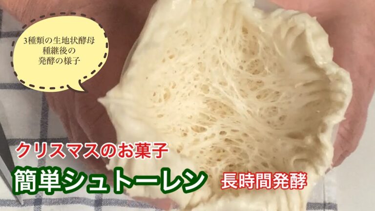 NO184 生地状酵母の種継の様子／ヨーグルト酵母／簡単シュトーレン／ポーリッシュ／長時間冷蔵発酵／ホームベーカリー