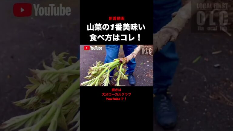 【OLC】筍、タラの芽の1番うまい食べ方はコレ！  #大分ローカルクラブ #田舎暮らし #shorts