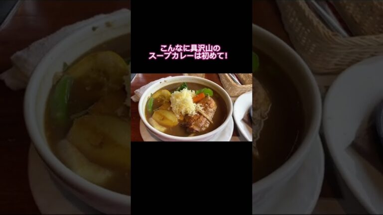 採れたて野菜がどっさり！北海道を感じるスープカレ！