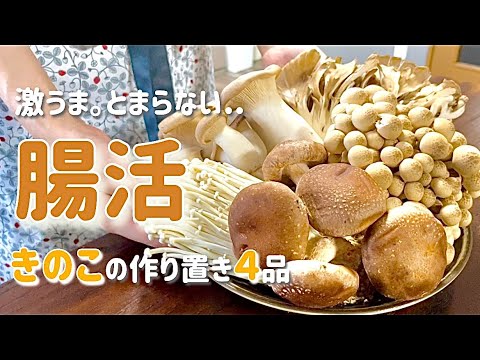 【秋の食材】作り置き料理には最適！腸活料理はこれで決まり‼︎【全4品】
