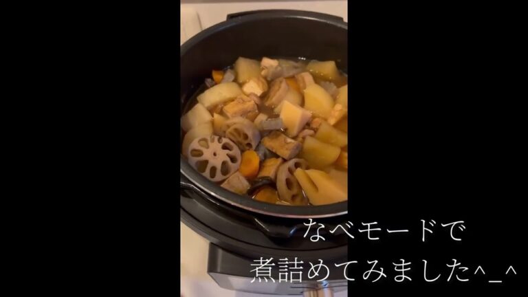 アイリスオーヤマ　電気圧力鍋　4.0L 煮物