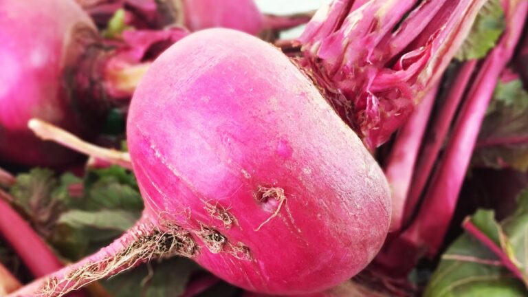 赤カブ〈野菜の食べ方＆調理方法〉by食育マルシェおうち便