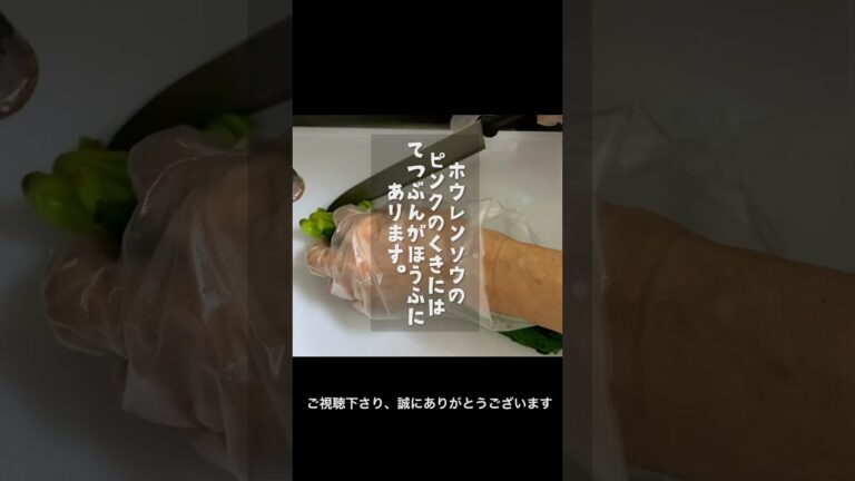 【健康レシピ】ほうれん草とエキストラバージンオリーブオイルのおひたし