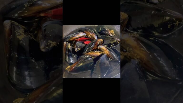 【絶品！】大粒ムール貝の酒蒸しで贅沢な味わい体験✨ #簡単レシピ #飯テロ #おうちごはん #つまみ #酒蒸し #japanesehomecooking #shorts