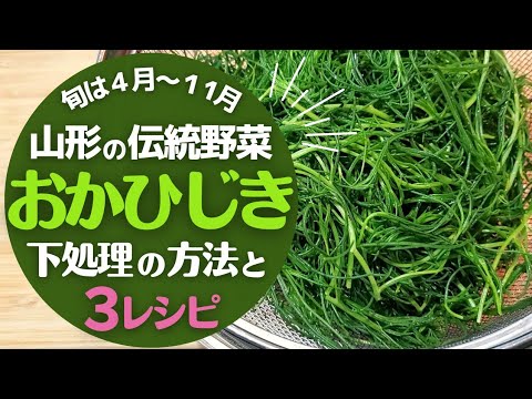 【おかひじき】の下処理と美味しく食べる方法！簡単３レシピ♪