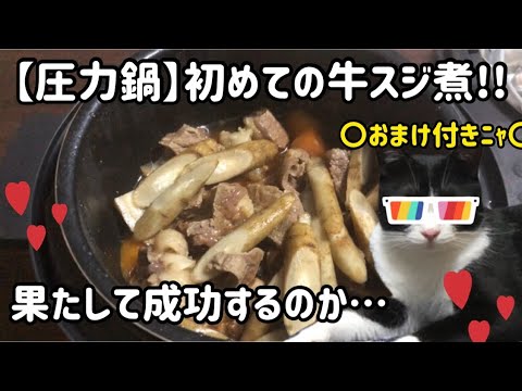 【電気圧力鍋】初めての牛スジ煮込み!!成功なるか…(KPC-MA2)