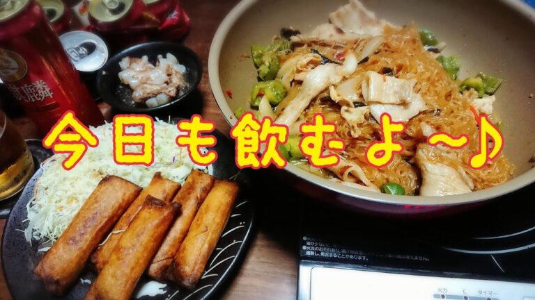 #黒ビール 揚げたてパリパリの春巻と麻婆春雨でガチ呑み🌃✨乾杯✨🍻🎶【呑み動画】