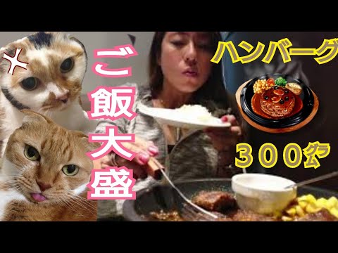 ウチの猫を、おちょくってたら腹が減ったwハンバーグ&大盛ご飯を食べる／Ăn／ กิน ／MUKBANG／먹방 ／eating show