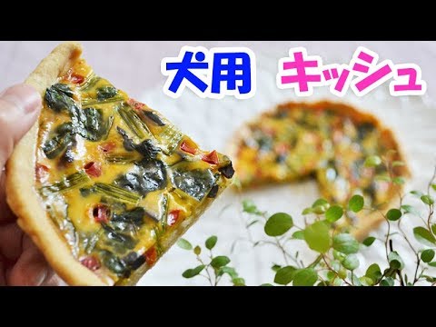 手作り犬ご飯　レバーとほうれん草のキッシュ 　レシピ