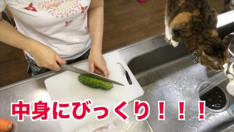 ゴーヤをもらったよ〜　ゴーヤの肉味噌炒め作ろう！その１