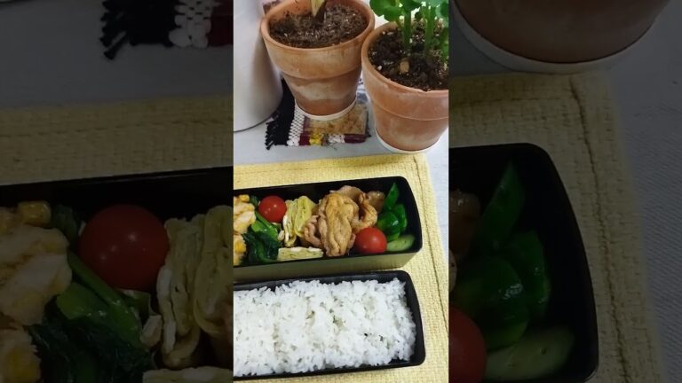 きゅうり浅漬、豚生姜焼き、卵焼き、小松菜煮浸し、コーン天ぷら