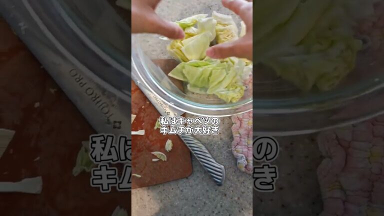 キャベツキムチを作った記録('∇')【おうちごはんvlog】#shorts