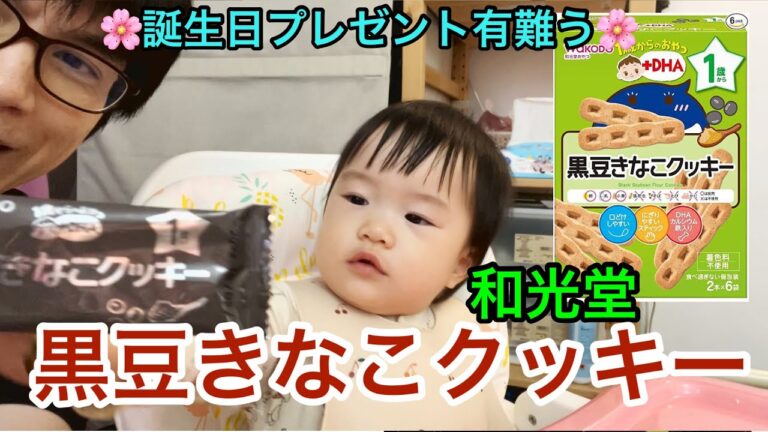 食べてみた。和光堂の黒豆きなこクッキー🌸誕生日プレゼントありがとう🌸2022年1月11日🌸さくらちゃん1歳1か月6日