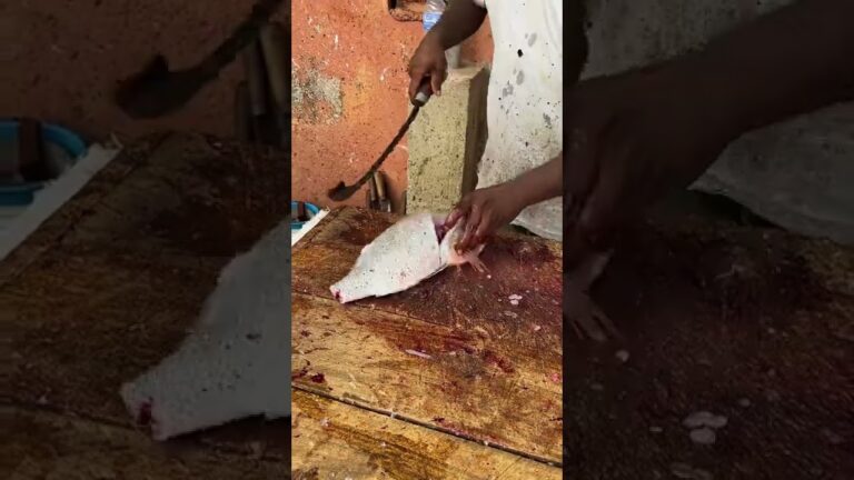 Sweetlip Emperor Fish Chopping Under 20 Seconds |