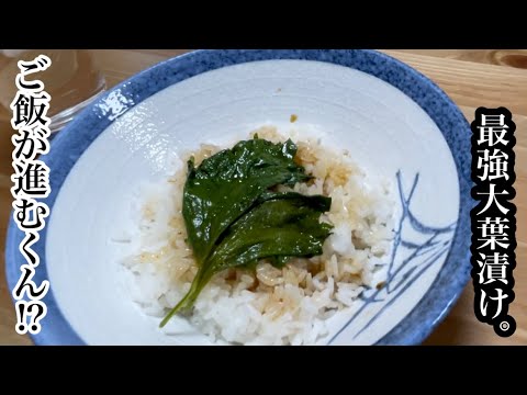 【ご飯のお供】圧倒的美味さ！？ご飯が進む大葉漬け