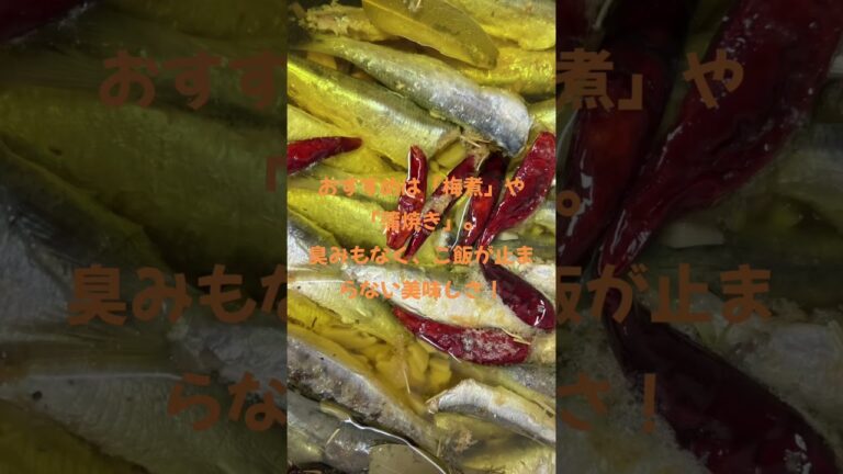 驚きの栄養 5月が旬！イワシで血液サラサラ＆骨強化！梅煮＆蒲焼きレシピも紹介✨ #イワシ #青魚レシピ #管理栄養士