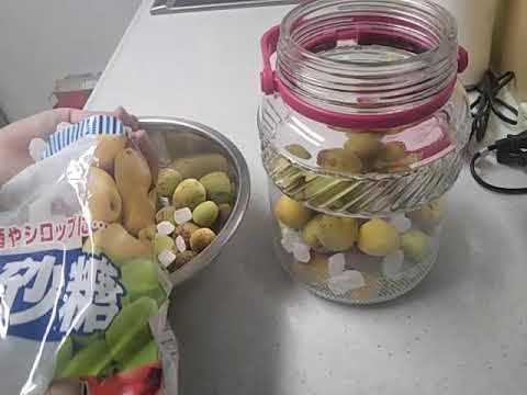 梅ジュースの作り方 簡単 夏バテ防止 冷凍梅なら尚味よし‼️