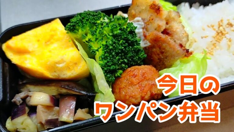 ワンパン弁当★薄ロースとんかつ/ミートボール/ブロッコリー/オムレツ
