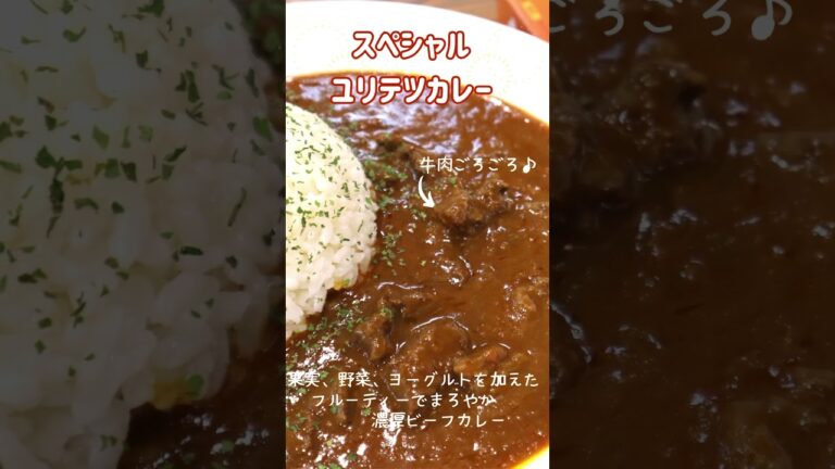 カレー特別価格で販売中‼️【由利鉄40周年記念】#由利高原鉄道　#矢島駅