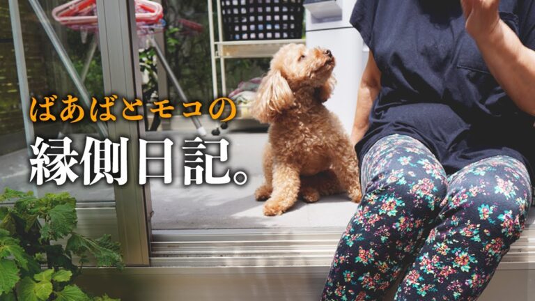 ばあばとモコの縁側日記。