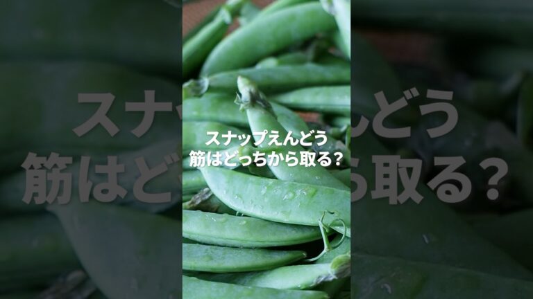 スナップえんどう、筋はどっちから？30秒でコツを解説 #shorts  #スナップえんどう #料理