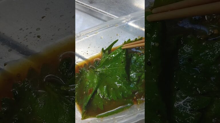材料3つで超簡単！飯泥棒漬け大葉 #shorts