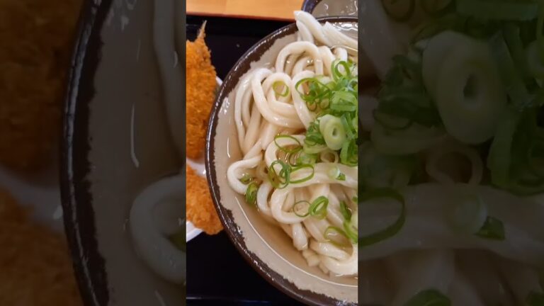 【讃岐うどん】【冷やかけ】【600円】