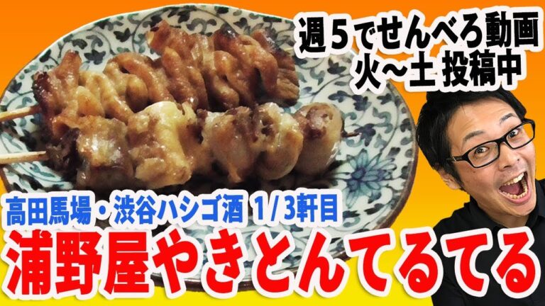 高田馬場せんべろ【浦野屋やきとんてるてる】やきとん　東京の居酒屋
