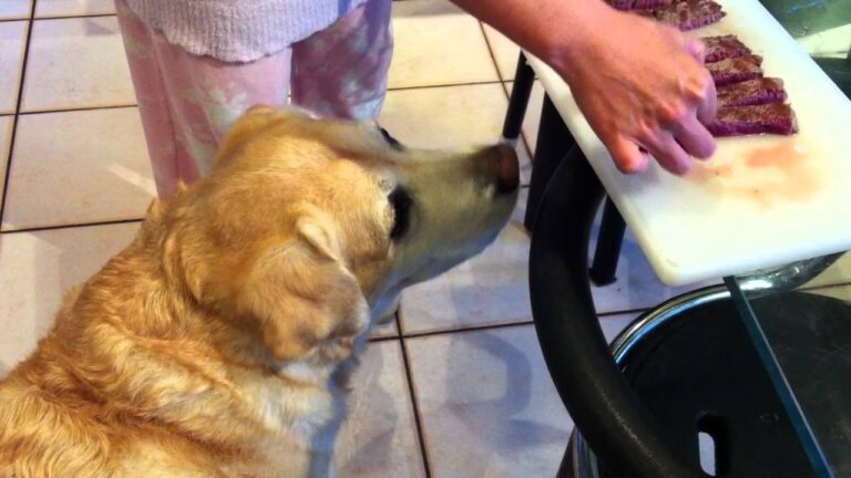 １０歳のお誕生日にステーキのプレゼント