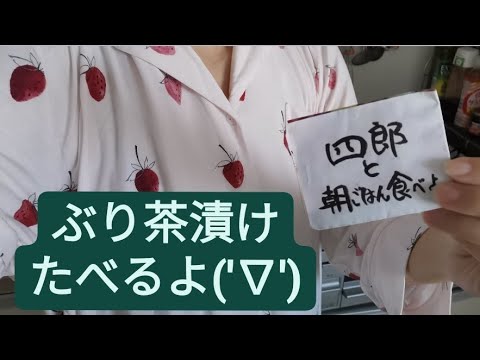 【自炊3年目の料理LIVE配信】四郎と一緒にぶり茶漬けたべよ('∇')　LIVEPart50【一人暮らしvlog】