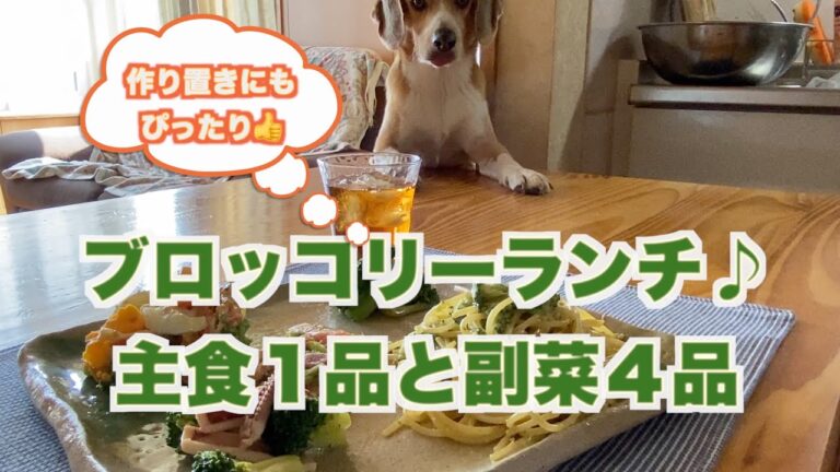 【ブロッコリーでランチプレート♪】パスタ！マリネ！チーズ焼き！サラダ！ペペロンチーノ！作り置きにもピッタリです♪