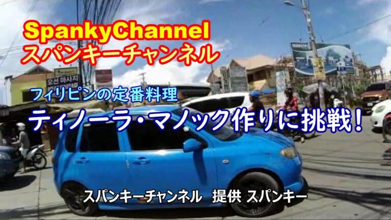 フィリピンの定番絶品スープ ごはんに合う ティノーラ・マノック の作り方 大公開