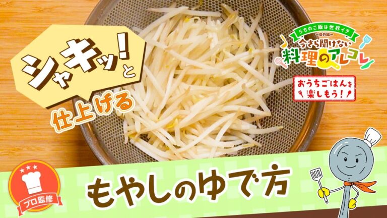 【プロ監修】vol.122 もやしのゆで方【料理の基本】