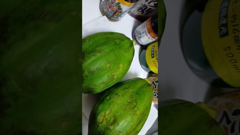 【ヌクマム】を使って、青パパイヤサラダにしたよ！コリコリ感がたまらない(~‾▿‾)~　