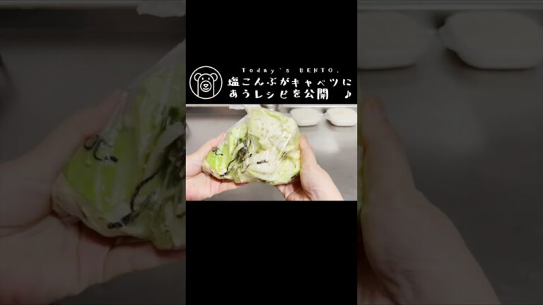 【Today's BENTO】キャベツの塩こんぶ和え弁当 #shorts