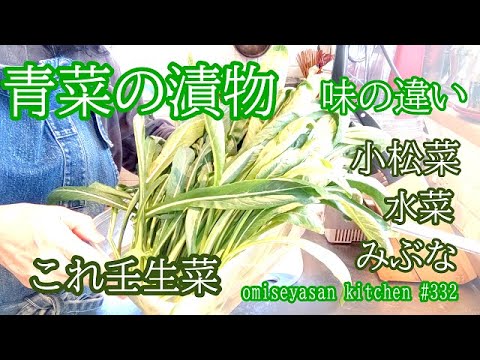 青菜の浅漬け全部同じ味付け簡単に出来ます