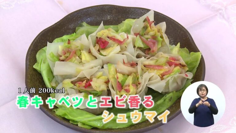 春キャベツとエビ香るシュウマイ