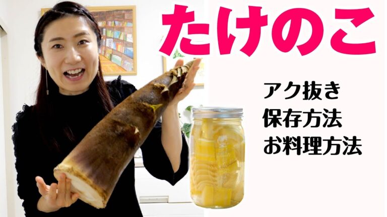 【たけのこの下処理】アク抜き｜保存方法｜調理方法｜筍土佐煮、タケノコご飯
