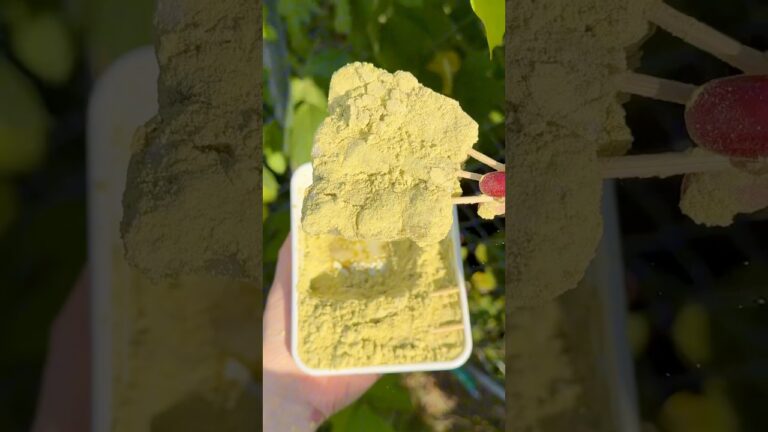 【青いきな粉がたっぷり！明治2年創業の伝統和菓子力餅】#japanesefood