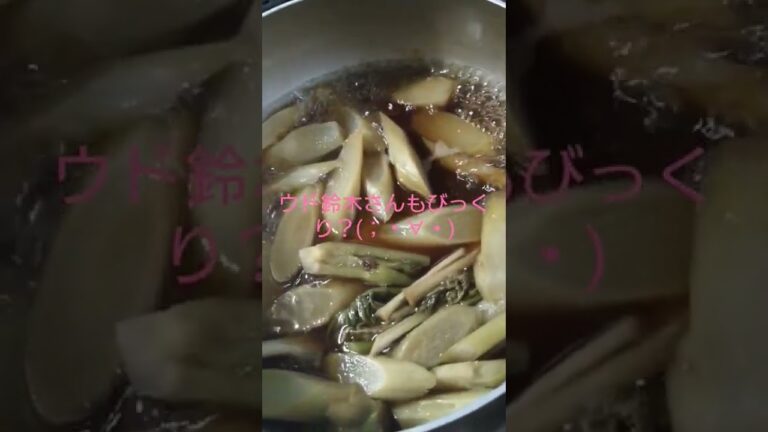 ウド鈴木さんもびっくり？(；・∀・)春の味覚ウドヽ(=´▽`=)ﾉ