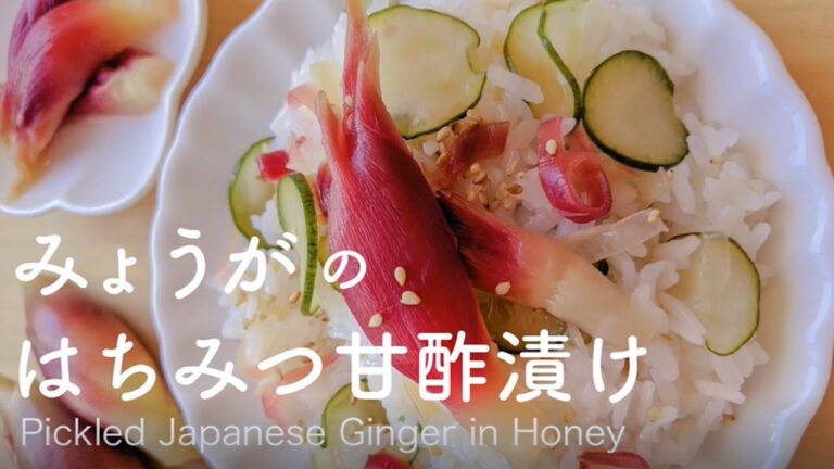 みょうがのはちみつ甘酢漬け  [ レシピ ]