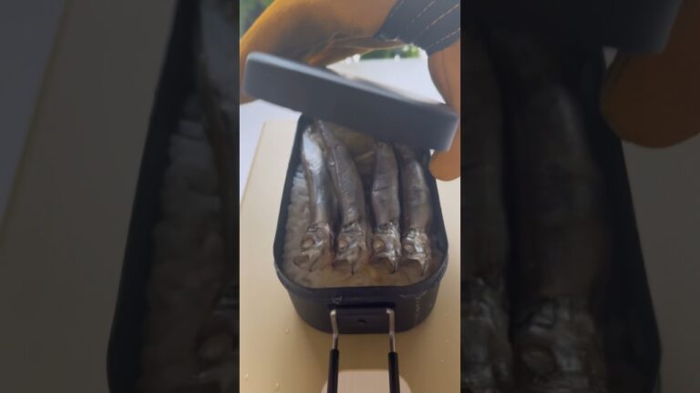 【ししゃも炊き込み】#shorts #キャンプ飯 #メスティンレシピ #ししゃも#アウトドアグッズ