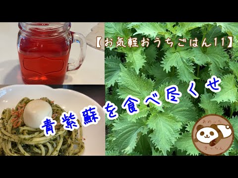 【お気軽おうちごはんレシピ】青紫蘇でジュースとジェノベーゼ風パスタ⭐︎あめっちきっちんレシピ11