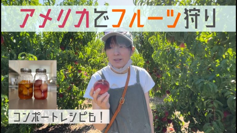 アプリコットとピーチのコンポートレシピ！カリフォルニアのフルーツ狩り！アメリカ暮らし！